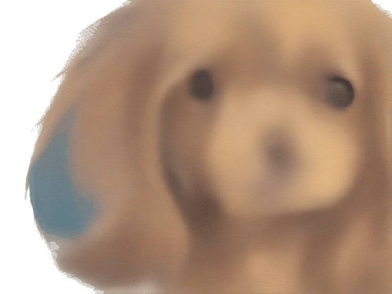 Cocker Spaniel Rasseguide – Fröhlicher Jagdhund mit Samtpfoten