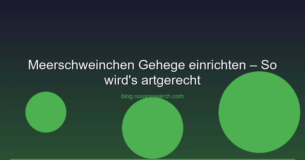Meerschweinchen Gehege einrichten – So wird's artgerecht…